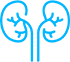 Icone Saúde dos rins